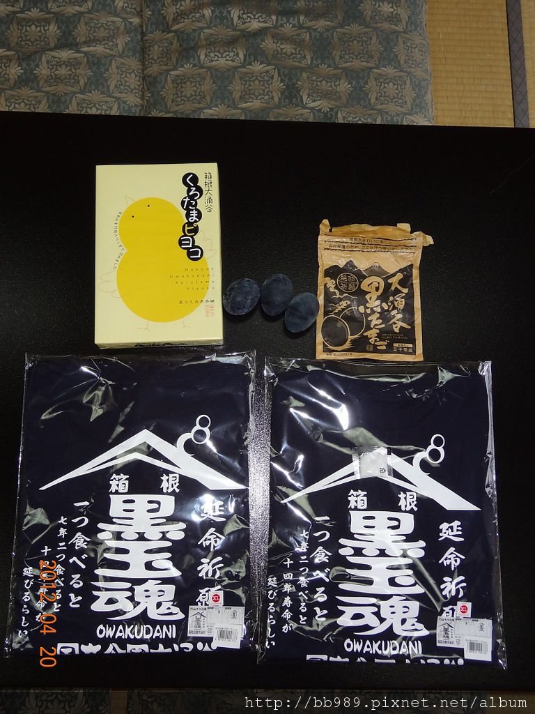 DSC01395