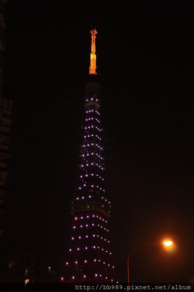 DSC_0392