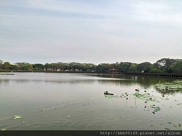 P_20150330_155539_HDR