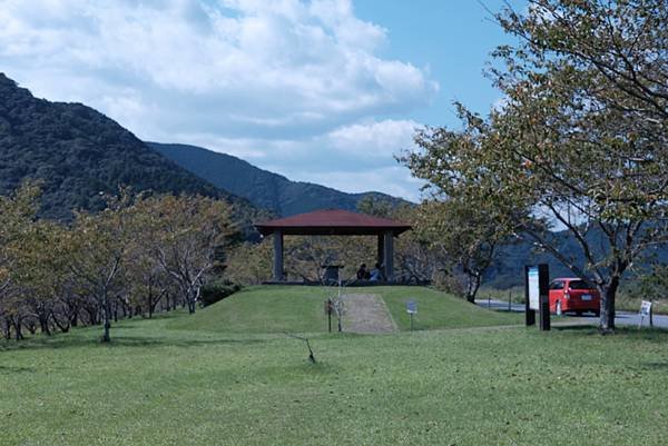 DSCF0314.JPG