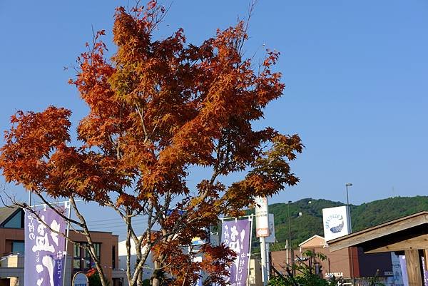 DSCF0356.JPG