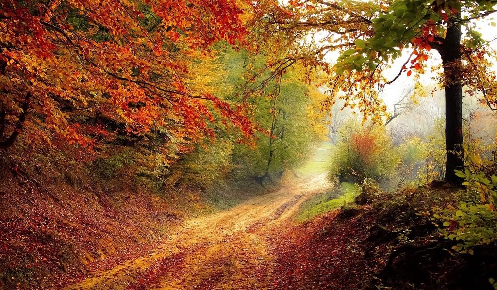 回首紅樓初遇時.jpg