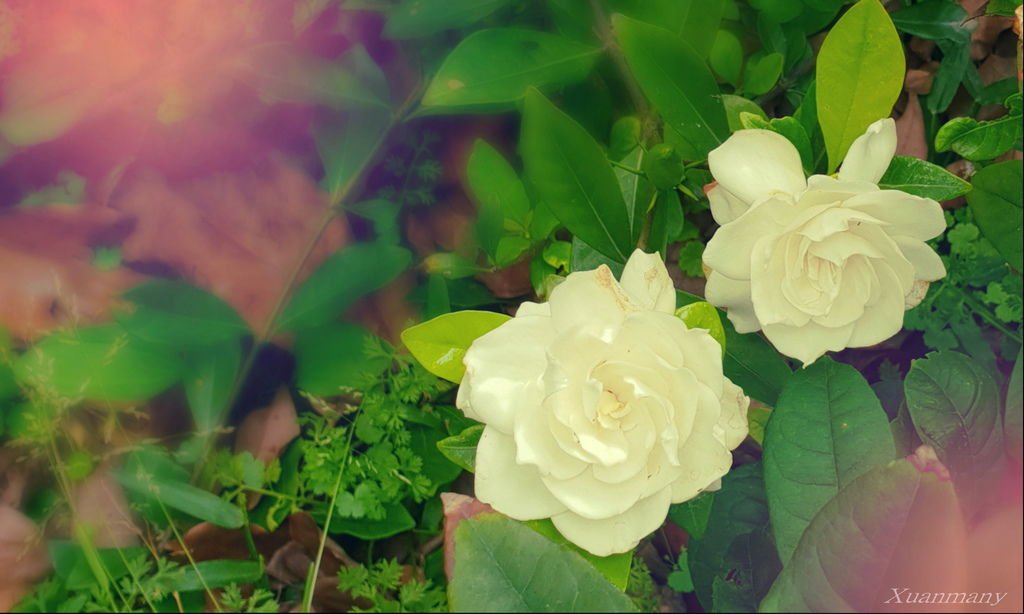 PhotoEditor_323.jpg