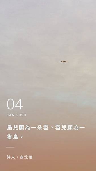 ee704b0f-e977-4920-8a55-c927fced16d5.jpg