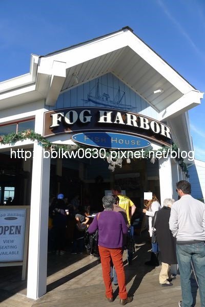 FOG HARBOR