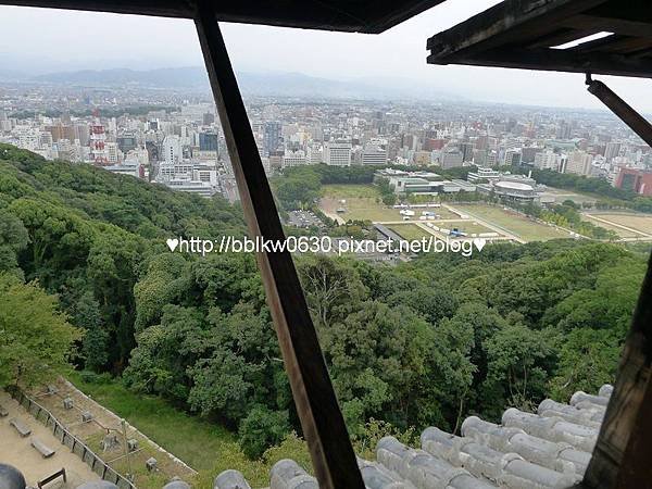 愛媛縣美術館(新館)