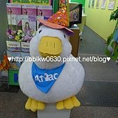 AFLAC 鴨