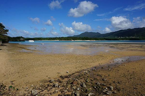 公主遊輪沖繩石垣島丟包記 租車上高架體驗 陸海空之旅 必買零