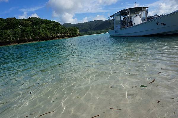 公主遊輪沖繩石垣島丟包記 租車上高架體驗 陸海空之旅 必買零