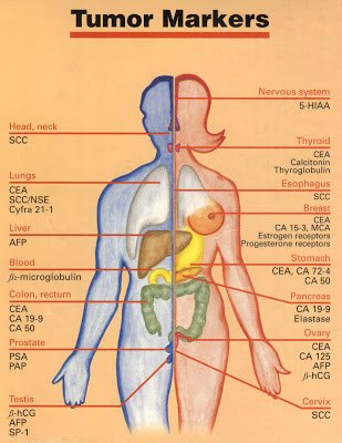 Tumor-Markers.jpg