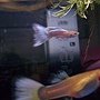 100_3314.JPG