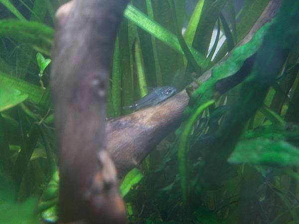 100_3459.JPG