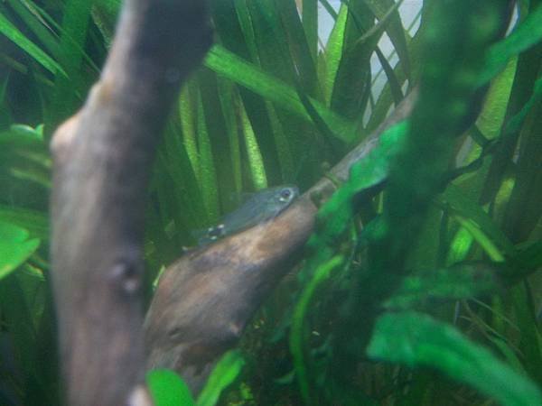 100_3463.JPG