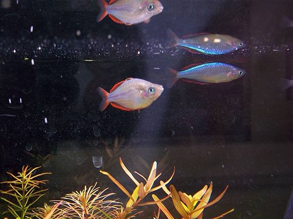 100_2789.JPG
