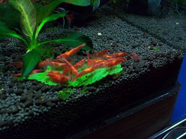100_2796.JPG