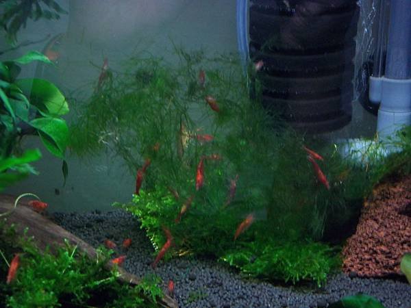 100_2783.JPG