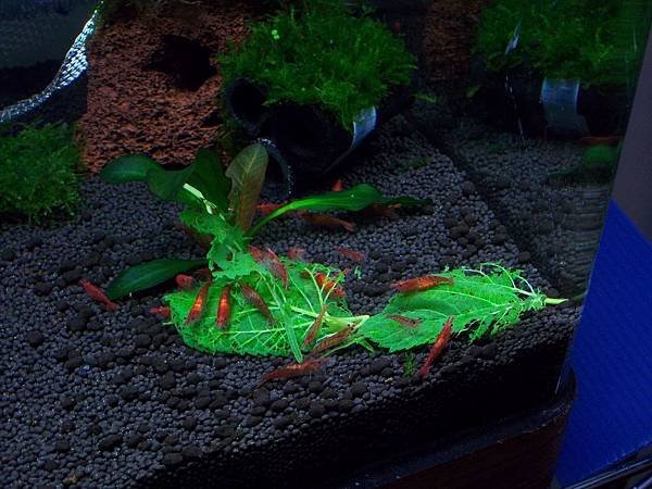100_2762.JPG