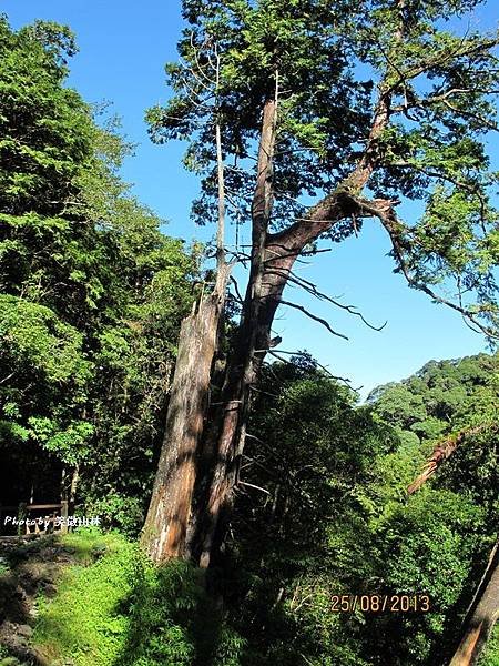 102-08-25 第一露 拉拉山夢想家 (254).JPG