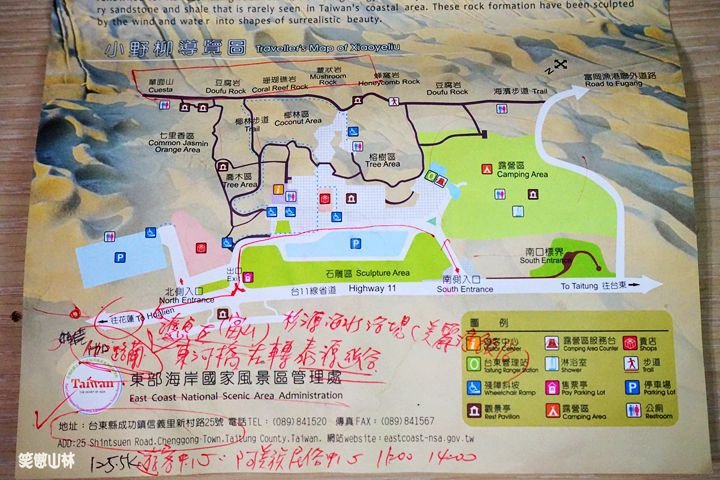 笑傲山林 台東小野柳 (16).jpg