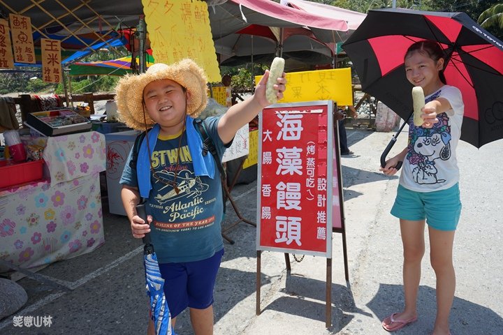 笑傲山林 台東小野柳 (97).jpg