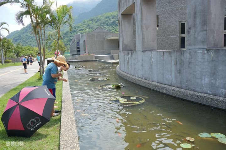 笑傲山林 台東小野柳 (111).jpg