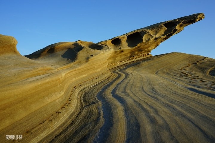 笑傲山林 台東小野柳 (160).jpg