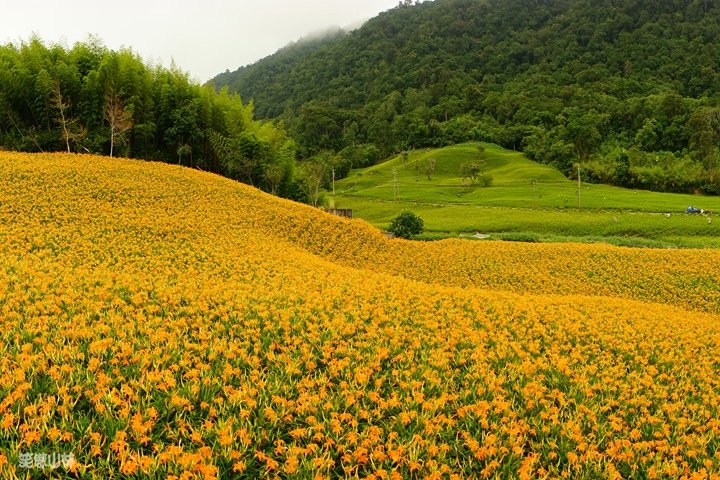 笑傲山林第52露 赤柯山_汪家古厝 (2).jpg