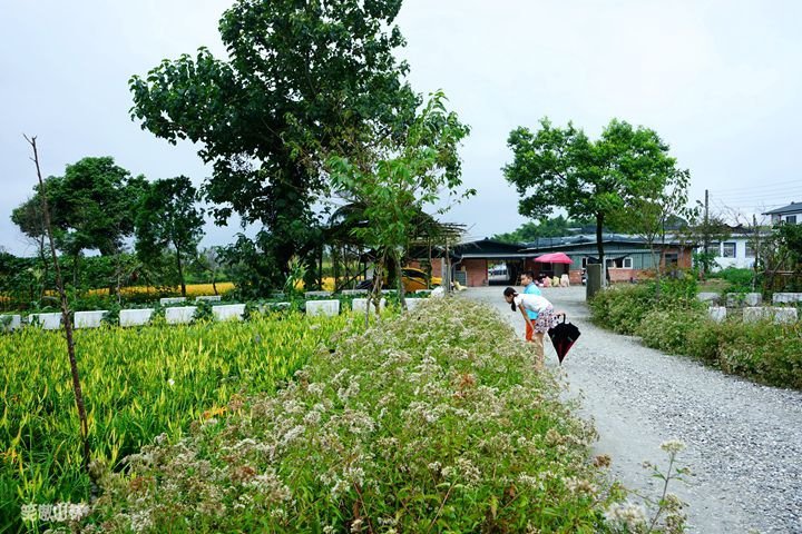 笑傲山林第52露 赤柯山_汪家古厝 (7).jpg