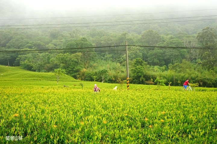 笑傲山林第52露 赤柯山_汪家古厝 (28).jpg