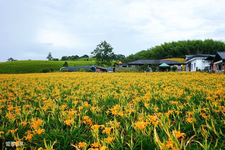 笑傲山林第52露 赤柯山_汪家古厝 (45).jpg