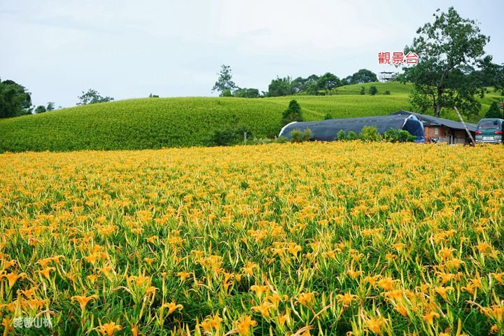 笑傲山林第52露 赤柯山_汪家古厝 (54).jpg