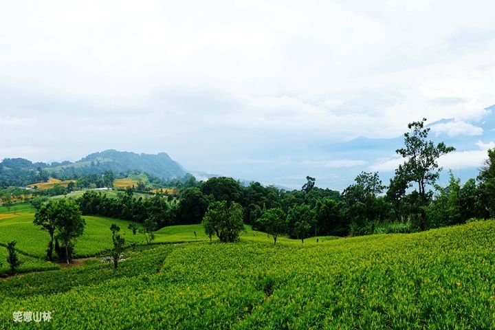 笑傲山林第52露 赤柯山_汪家古厝 (59).jpg