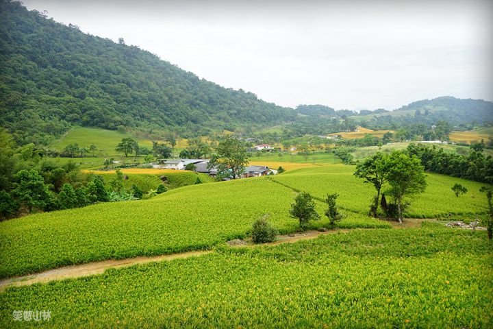 笑傲山林第52露 赤柯山_汪家古厝 (60).jpg