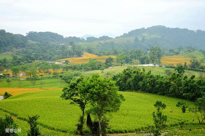 笑傲山林第52露 赤柯山_汪家古厝 (61).jpg