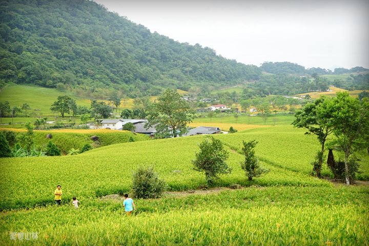 笑傲山林第52露 赤柯山_汪家古厝 (64).jpg