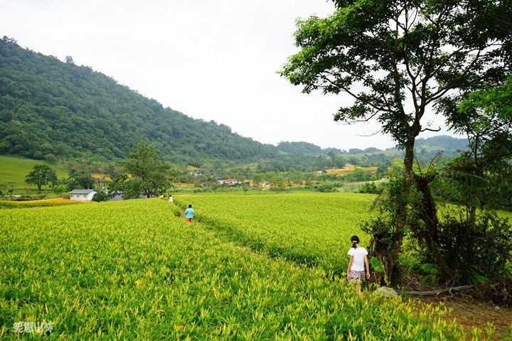 笑傲山林第52露 赤柯山_汪家古厝 (66).jpg