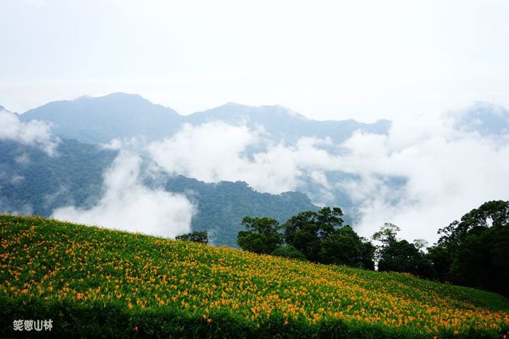 笑傲山林第52露 赤柯山_汪家古厝 (70).jpg