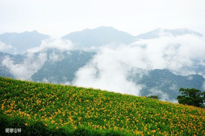 笑傲山林第52露 赤柯山_汪家古厝 (71).jpg