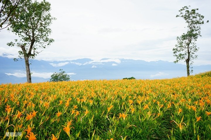 笑傲山林第52露 赤柯山_汪家古厝 (73).jpg