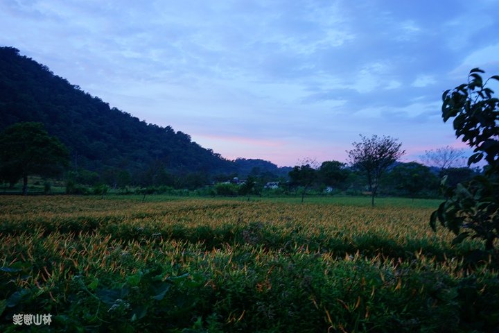 笑傲山林第52露 赤柯山_汪家古厝 (89).jpg