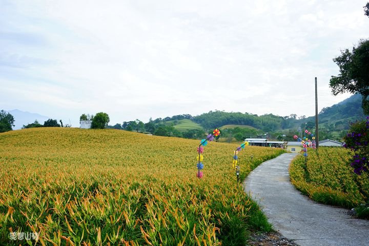 笑傲山林第52露 赤柯山_汪家古厝 (100).jpg