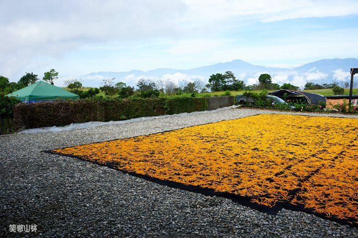 笑傲山林第52露 赤柯山_汪家古厝 (111).jpg