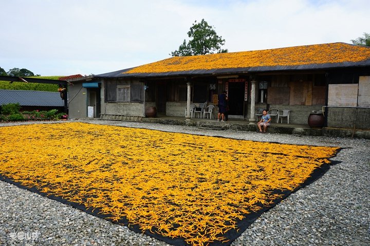 笑傲山林第52露 赤柯山_汪家古厝 (112).jpg