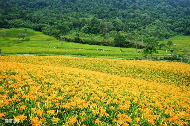 笑傲山林第52露 赤柯山_汪家古厝 (130).jpg