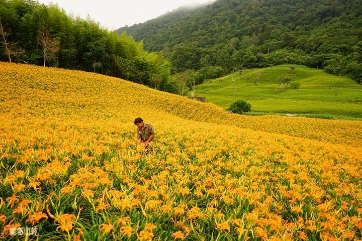 笑傲山林第52露 赤柯山_汪家古厝 (132).jpg