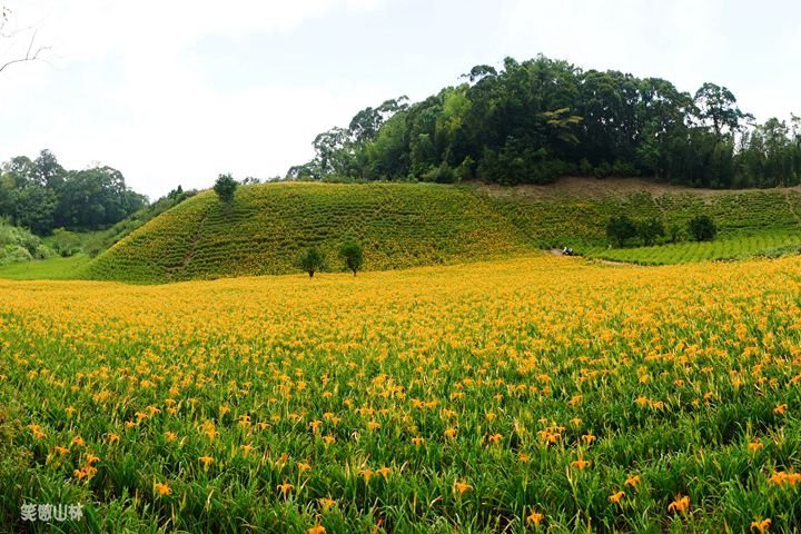 笑傲山林第52露 赤柯山_汪家古厝 (140).jpg