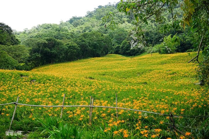 笑傲山林第52露 赤柯山_汪家古厝 (141).jpg