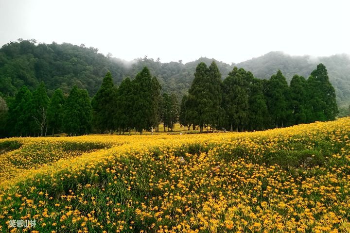 笑傲山林第52露 赤柯山_汪家古厝 (142).jpg