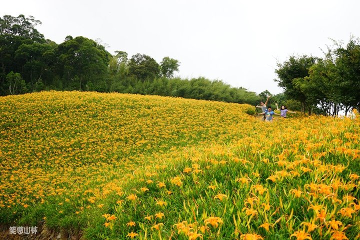 笑傲山林第52露 赤柯山_汪家古厝 (147).jpg