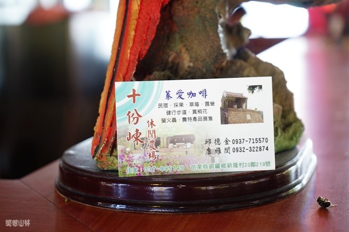 DSC07287.jpg